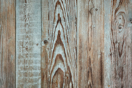 Red Christmas decorations on a Christmas tree branch. round toys. minimalist style. Copy space for text. For advertising or as a ready-made holiday card.の写真素材