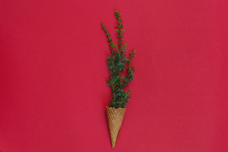 Defocused focus on the foreground. Christmas and New Year background with green Christmas tree branch and red barberry berries on wavy surface background. copyspace.の写真素材