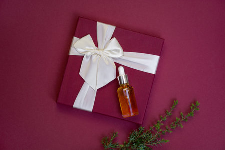 Soft selective focus on autumn set of chestnuts, yellow leaves, red barberry berries, lavender and Christmas tree branch on dark wooden surface. Materials for handmade products. copy spaceの写真素材