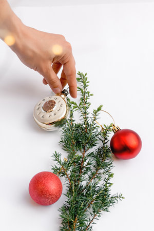 Soft selective focus on autumn set of chestnuts, yellow leaves, red barberry berries, lavender and Christmas tree branch on dark wooden surface. Materials for handmade products. copy spaceの写真素材