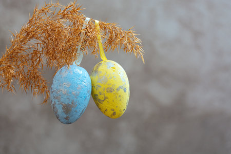 Yellow and blue Easter eggs hanging on a branch of dry reed grass on a gray background. The colors symbolize the State Flag of Ukraine. happy holidaysの写真素材