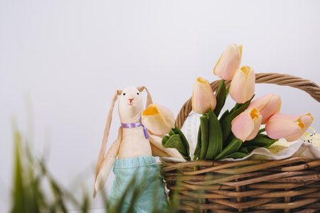 easter greeting card. Defocused focus on foreground of green grass. Easter toy bunny basket with tulips and eggs for outdoor picnic. white background. happy holidays. copy spaceの写真素材