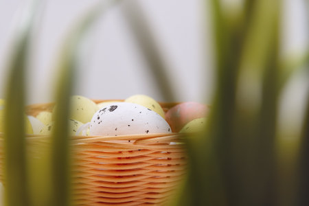 Happy Easter greeting card. Defocused focus on foreground on green grass on Multicolored eggs in wooden plate. spring holiday. Copy space for text. front viewの写真素材