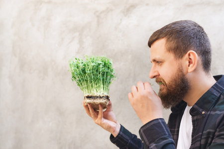 Side view Man holding micro green pea in his hands and biting off one stem on gray background. Guy with beard in shirt. Germinating seeds at home or buying greens for a healthy diet. plant foodの写真素材