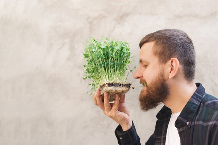 Man holding micro green pea in his hands and biting off one stem against background of concrete wall. Guy with beard in shirt. Germinating seeds at home or buying greens for a healthy diet. plant foodの写真素材