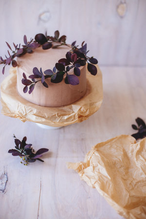 Chocolate cake on a light background.