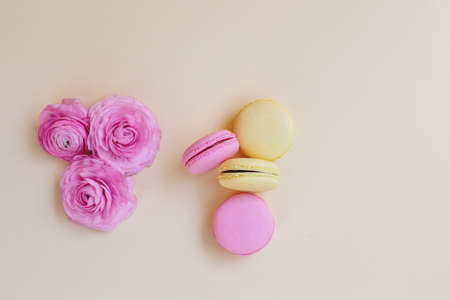 Macaroons and ranunculus on a yellow background.の写真素材