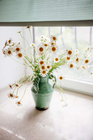 White daisies in a vase.の写真素材