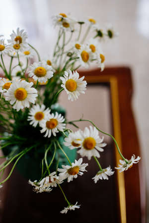 White daisies in a vase.の写真素材
