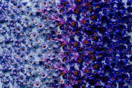 Pattern of blue flowers.