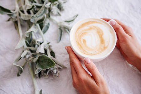 Cup of cappuccino and flowers.の写真素材