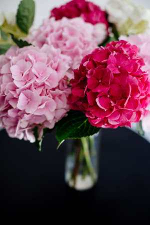 A light pink hydrangea flower in a a transparent vase on a vintage retro backgroundの写真素材
