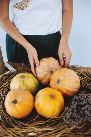 Autumn orange pumpkins on wooden table.の写真素材