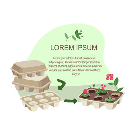 Concept of reducing waste Process of Upcycling utilized egg box container to plant seedling and flowers in pots Vertical gardening Illustration of recycling and reutilization Flat vector illustrationのイラスト素材