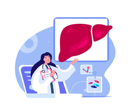 Online Gastroenterologist, Hepatologist Doctor Internet Consultationt. Diagnose Liver Organ Hepatic, Fibrosis, Hepatitis. Ultrasound Internet Treatment. Digital Medical Hospital Diagnostics Illustrationのイラスト素材