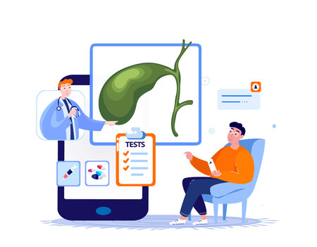 Online Doctor Gastroenterologist Consultate Patient in Laptop. Gall Bladder System Internet...
