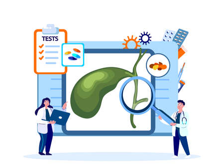 Doctors Man, Woman Gastroenterologists Curing, Researching Gall Bladder System, Analyze Gall Gallstones, Medical Hospital Staff Consilium Consultation, Gall Cholalic Organ Treatment. Vector Illustrationのイラスト素材