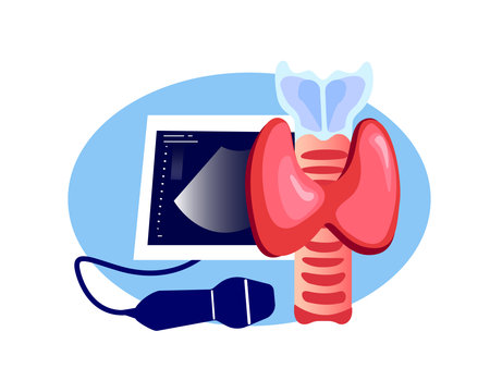 Endocrinology Ultrasound Diagnostics Screening Sonographer Examination, Ultrasound...
