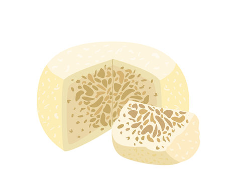 Exotic Sakartvelo Sheep cheese Guda with specific smell.Gourmet cheese with holes and bubbles.Cut...