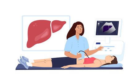 Ultrasound Doctor Hepatologist,Gastroenterologist, Researching,Screening Liver Hepatic, Ultrasound Investigation.Clinic Medicine Diagnostic.Medical Hospital.Digital Treatment.Flat Vector Illustrationのイラスト素材