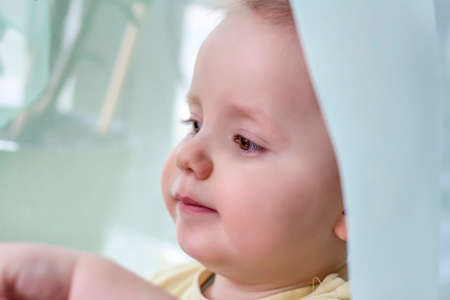 The baby looks out the window, misses walking on the street.の写真素材