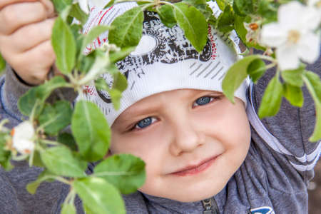 A child's view through the leaves and flowers of a treeの写真素材