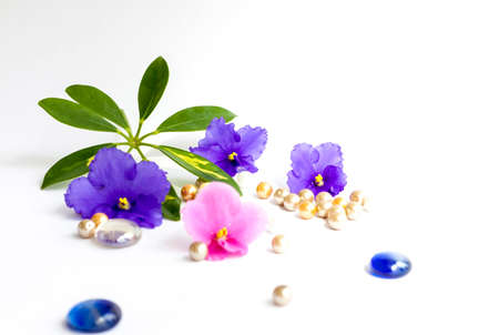 Background for the design. Beads. Green leaf. Various decor elements. Bright flowers. Light base.の写真素材