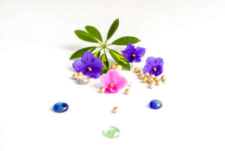Background for the design. Beads. Green leaf. Various decor elements. Bright flowers. Light base.の写真素材
