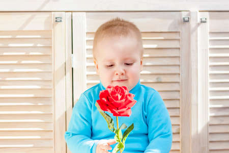 Portrait of a boy. A boy holds a rose. Emotionally and beautifully. Expressive look.の写真素材