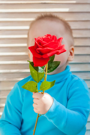 Portrait of a boy. A boy holds a rose. Emotionally and beautifully. Expressive look.の写真素材