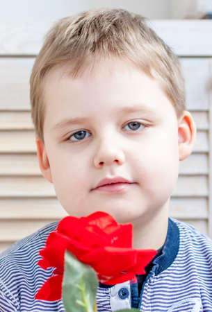 Portrait of a boy. A boy holds a rose. Emotionally and beautifully. Expressive look.の写真素材