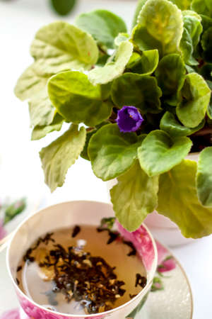 Cup of tea. Large tea leaves in a Cup. A can of tea. Large-leaf tea with fruit.の写真素材