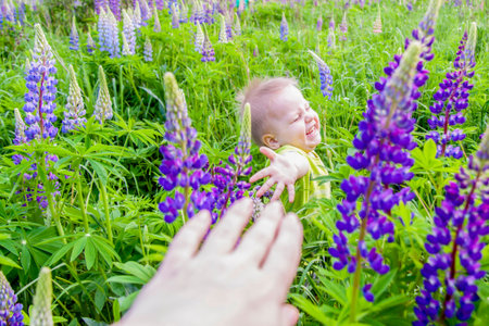 Cute and funny baby in plants. Large and beautiful lupine flowers. Portrait of child. A little boy...