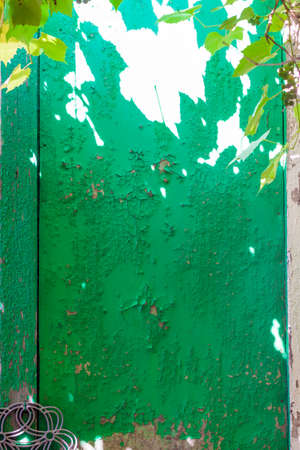 The painted wall which is cracked and broken from time to time. Cracks in the paint. From time to time, the coating has fallen into disrepair.の写真素材