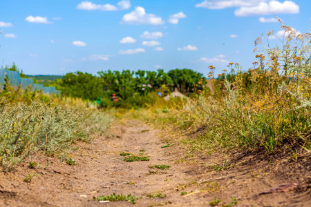 A road in a rural area. Landscape with beautiful sky and road.