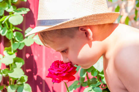 A boy in a beautiful summer hat sniffs a flower.の写真素材