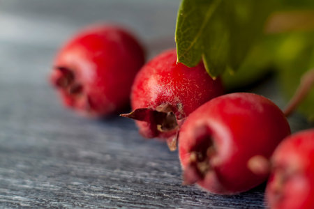 Berries in close-up macro. Wallpaper, background, desktop, cover. Macro photography of flora.