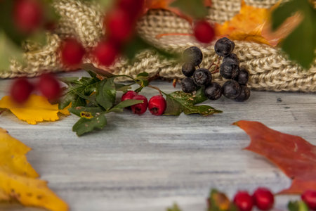 Autumn background. Decor of hawthorn berries, mountain ash berries and leaves on a painted wooden...