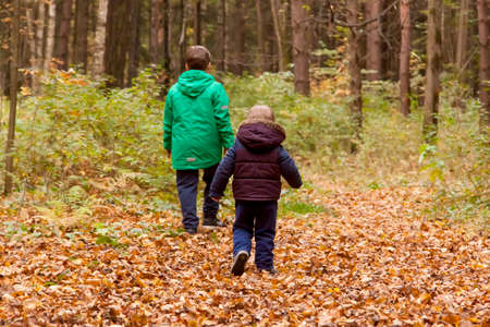 Children walk in the autumn forest. Autumn walks. Forest, nature.の写真素材