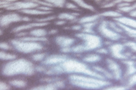 A game of shadows. Shadows on the snow in the form of patterns. Background of shadows.