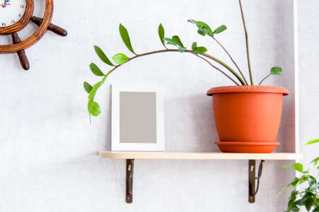 Home garden. Photo frame on the shelf. Potted flowers. Stylish botanical interior. The concept of home gardening. Template.の写真素材