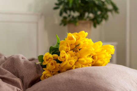 A bouquet of yellow tulips. Bouquet of fresh tulips close-up. Spring flowers in the interior. The concept of spring or holiday, March 8, International Women's Day, birthday.の写真素材