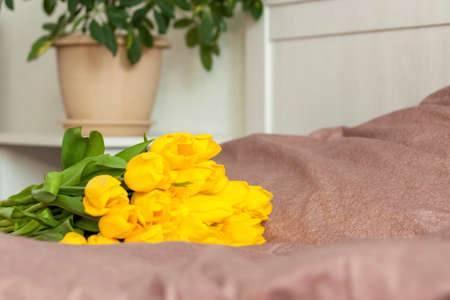 A bouquet of yellow tulips. Bouquet of fresh tulips close-up. Spring flowers in the interior. The concept of spring or holiday, March 8, International Women's Day, birthday.の写真素材