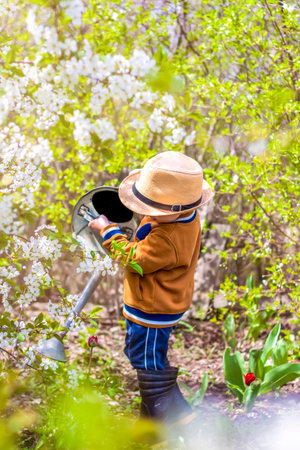Cute little toddler boy in a hat and rubber boots is watering plants with a watering can in the...