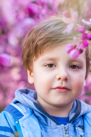 Portrait of a child in pink apple blossoms. Apple tree in bloom. Spring flowering of the apple orchard. Background for presentations, posters, banners, and greeting cards. Soft focus, nature background.の写真素材