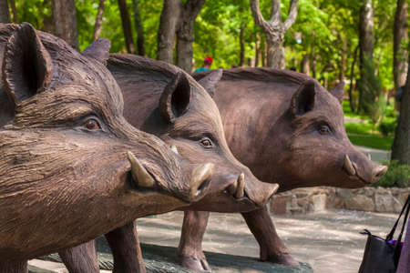 2021-05-07. Russia. Kamensk-Shakhtinsky, Rostov region. Beautiful decor elements in the park for tourists. Sculpture of a wild boar. LOGA Landscape Parkのeditorial素材