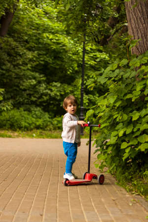 A preschool child rushes on a scooter through the park. Baby in the park in sunny weather. The boy has fun walking in the park. Emotions, joy.の写真素材