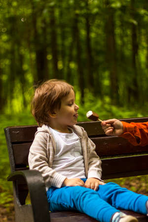 Children have fun in the park. Walk, play and eat ice cream. Emotions, joy.の写真素材