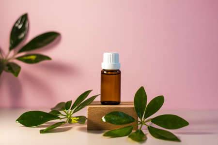 Bottle without label with oil on the stand. Transparent glass container with a dispenser on a beige-pink background. Product banner. Space for text, design. Cosmetology and the concept of beautyの写真素材