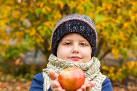 Autumn mood. A boy poses against a background of yellow leaves eating a juicy red apple. Autumn portrait of a child with an apple. Sight. Cute smiling boy. Autumn.の写真素材